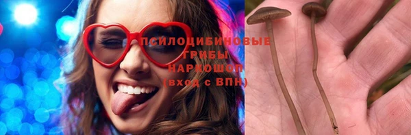винт Балахна