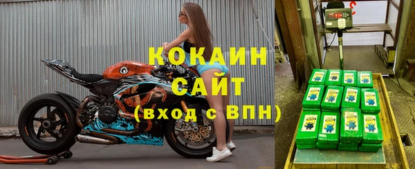 мяу мяу мука Баксан