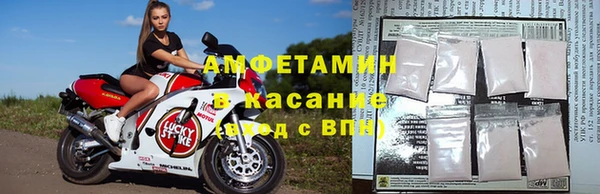 мяу мяу мука Баксан
