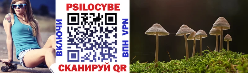 Галлюциногенные грибы Cubensis  Отрадная 